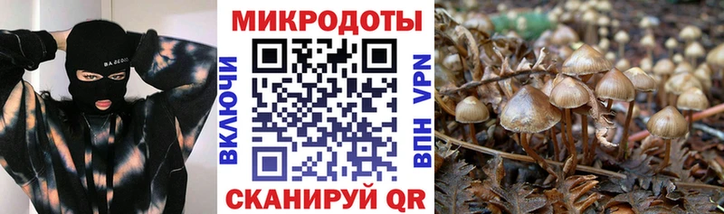Галлюциногенные грибы прущие грибы  omg ССЫЛКА  Осинники 