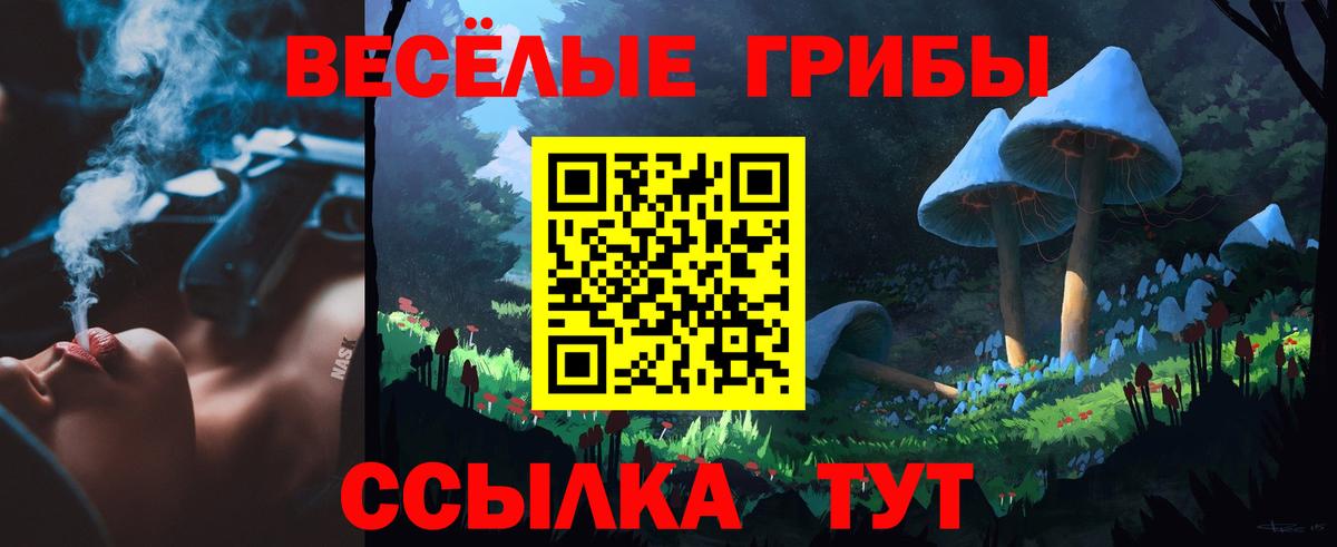 Псилоцибиновые грибы MAGIC MUSHROOMS Осинники