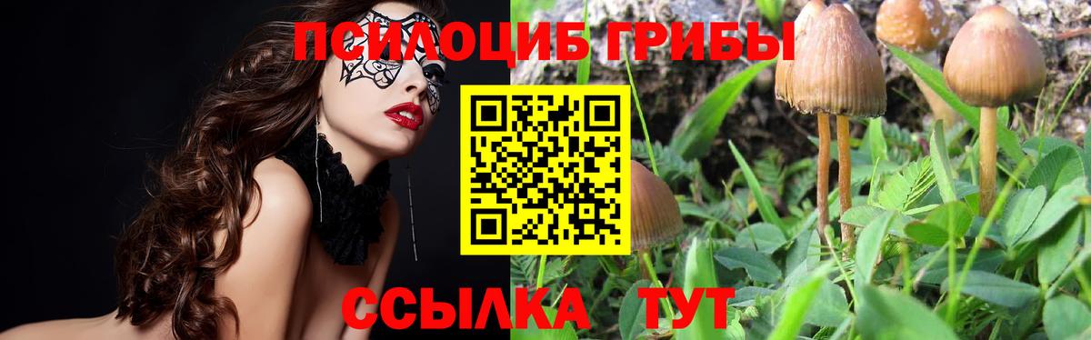 Псилоцибиновые грибы Magic Shrooms  Вход с VPN  Галлюциногенные грибы MAGIC MUSHROOMS  Осинники 
